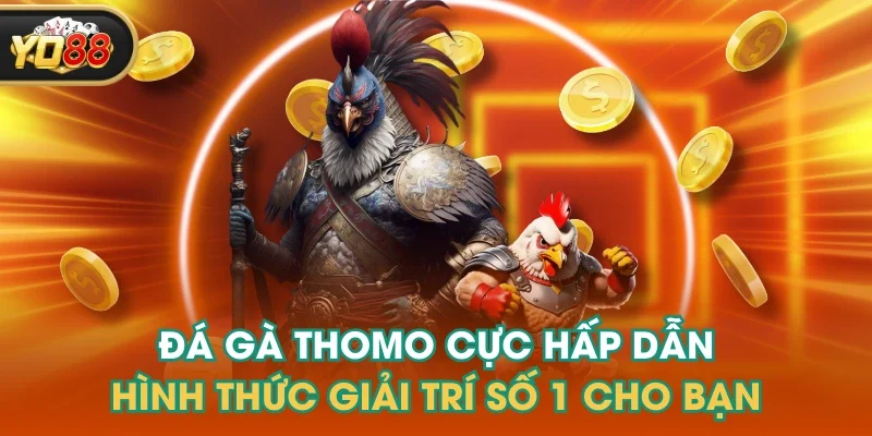 Đá Gà Thomo Cực Hấp Dẫn - Hình Thức Giải Trí Số 1 Cho Bạn