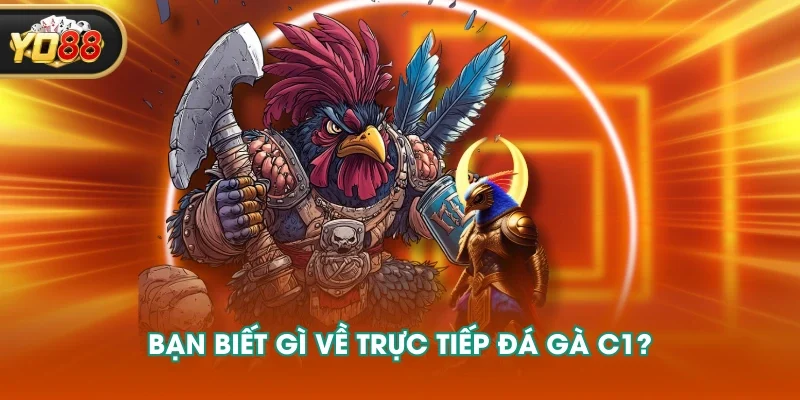 Bạn biết gì về trực tiếp đá gà C1? Bạn biết gì về trực tiếp đá gà C1?