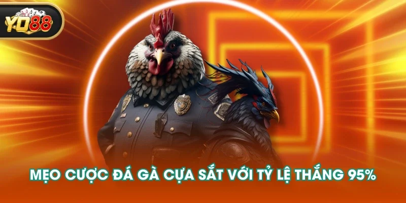 Mẹo cược đá gà cựa sắt với tỷ lệ thắng 95% Mẹo cược đá gà cựa sắt với tỷ lệ thắng 95%