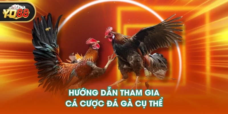 Hướng dẫn tham gia cá cược đá gà cụ thể Hướng dẫn tham gia cá cược đá gà cụ thể