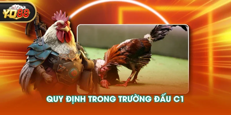 Quy định trong trường đấu C1 Quy định trong trường đấu C1
